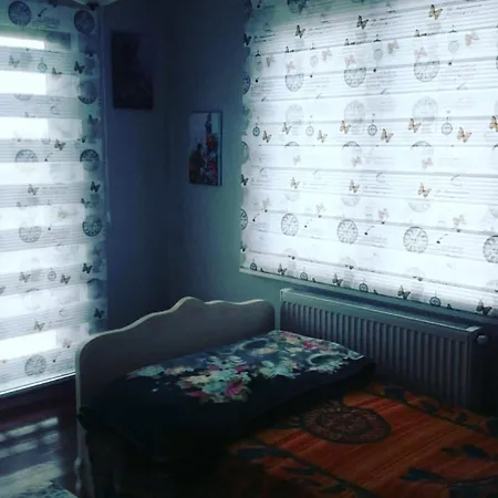 Manzara Villa Sapanca